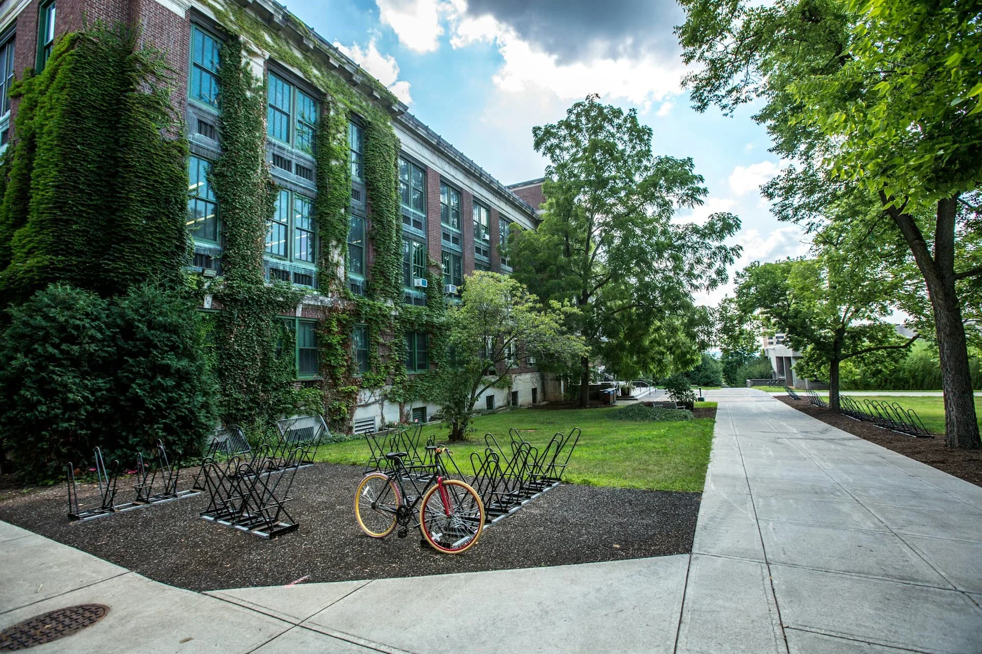 Professional Outdoor Maintenance Services in Hamilton