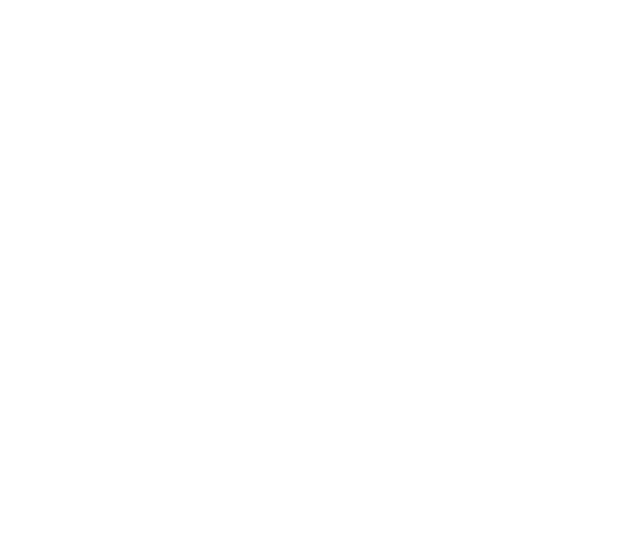 MCRM