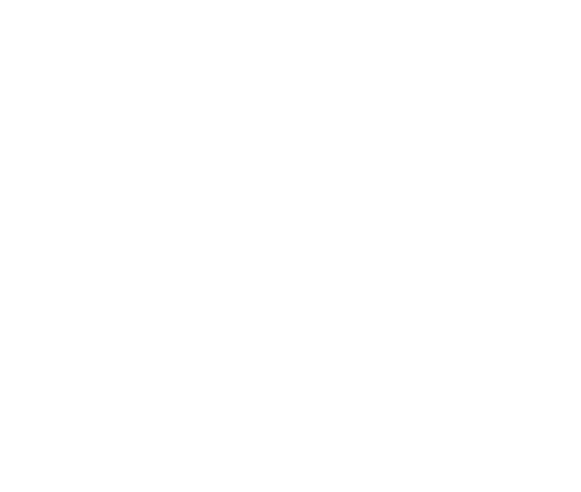 Maxlor Group logo, a Flores Clean client